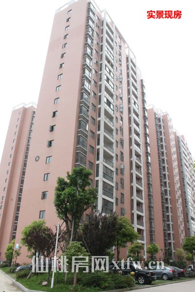 紫金城5月工程进度 小区目前全部为现房在售