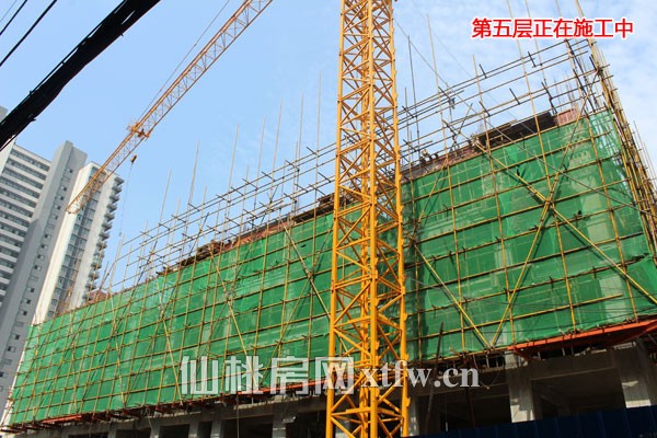 五层主体结构正在施工中