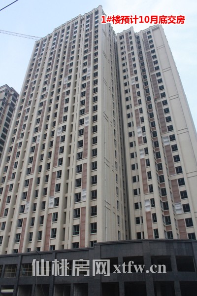 1#楼预计十月底交房