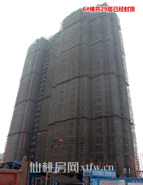 6#楼封顶