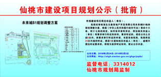 湖北元泰房地产开发有限公司未来城B1地块规划调整批前公示