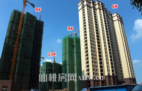 和合国际城8月工程进度 9#楼即将封顶