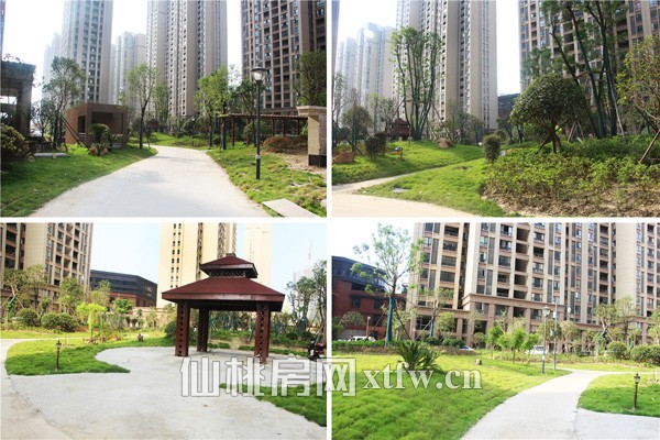 元泰未来城8月工程进度：B2地块3#已经封顶