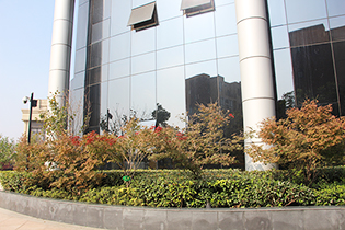 现代·森林国际城10月进度 别墅外立面已完工