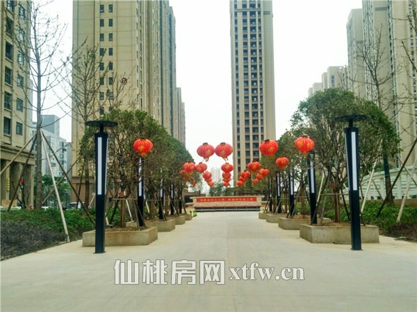 元泰未来城10月工程进度：B2地块在平整道路