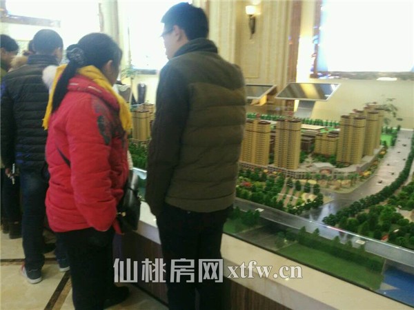 小编陪购二十六期：全家出力 帮儿子挑选新房