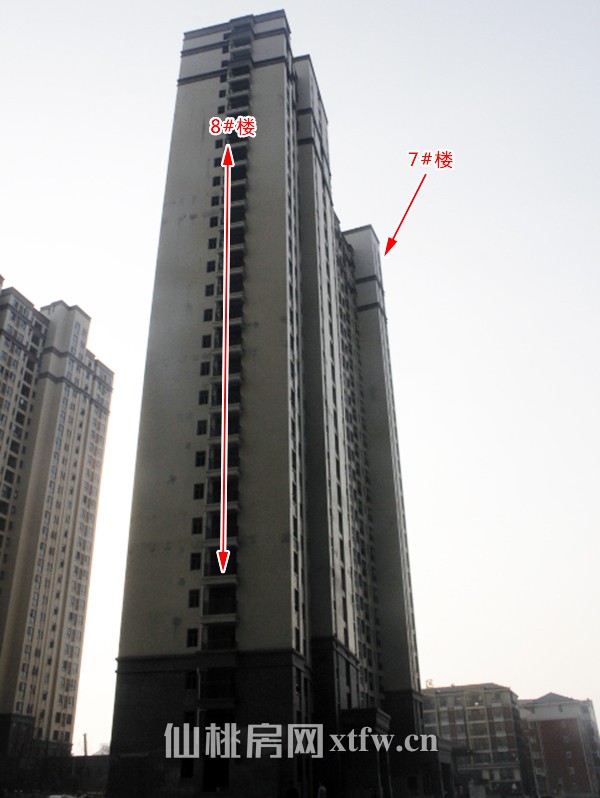 和合·国际城12月进度 7#、8#楼外立面已完工