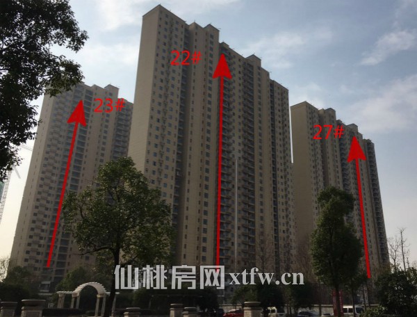 满庭春工程进度 3.1期室内分户验收