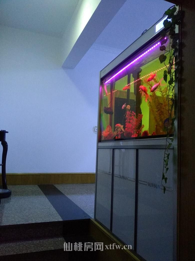 仙桃二中附近免物业证全网气通