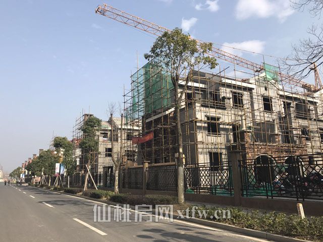 201701101750221004.jpg 98531242275563118.jpg