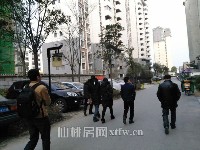 小编陪购三十五期：正月初三看房不停歇