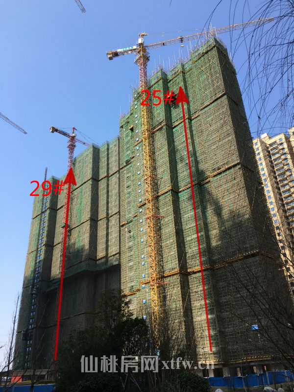 201702121504571004.jpg 2529.jpg