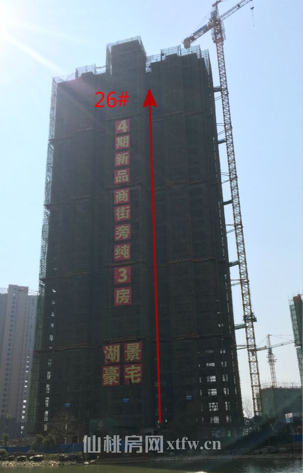 201702121505291004.jpg 26.jpg