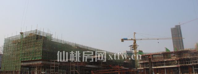 201702161709431004.jpg 4.jpg