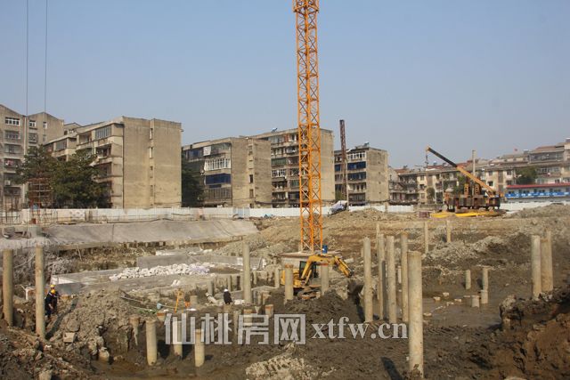 201702161710361004.jpg 6.jpg