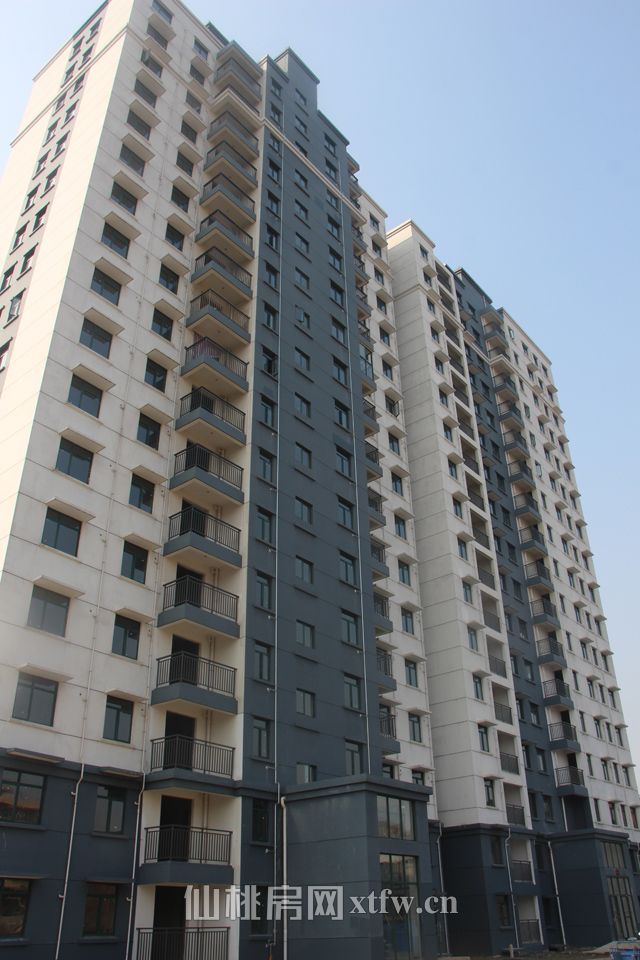 201702171528441004.jpg 3#.jpg