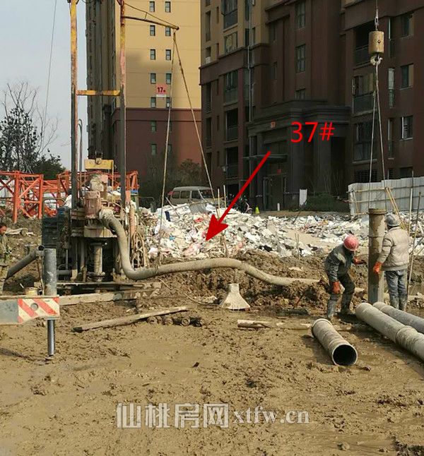 201702261525181004.jpg 37#_meitu_4.jpg