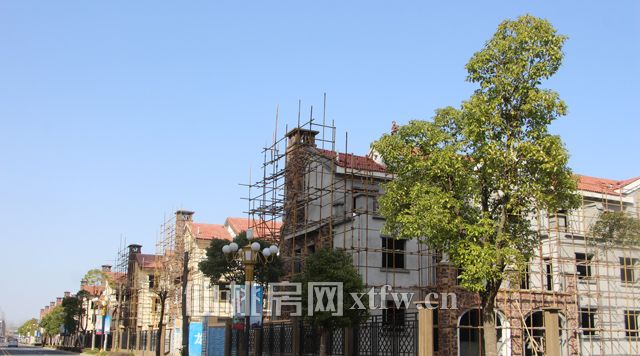 201703021459001004.jpg IMG_6174.jpg