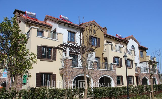 201703021504181004.jpg IMG_6155.jpg