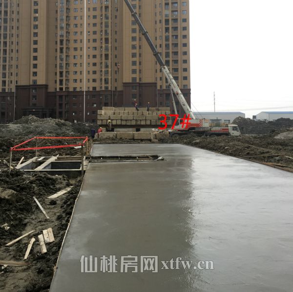 201703120927281004.jpg 37_meitu_9.jpg