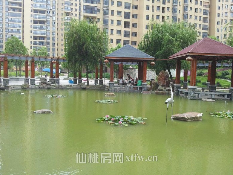 出租市区三丰鼎城1室1厅60平米