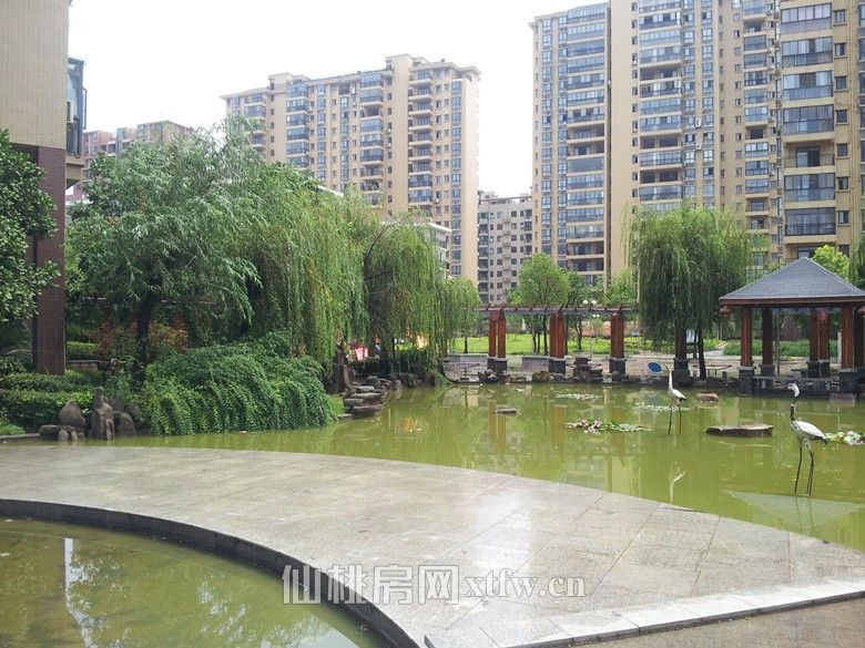 出租市区三丰鼎城1室1厅60平米