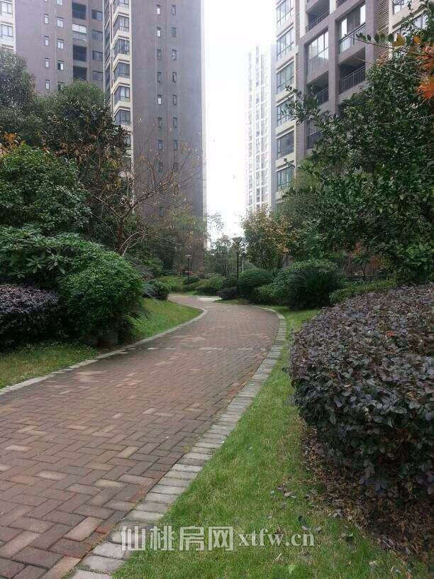 仙桃市和合国际城，优质 房，环境优美