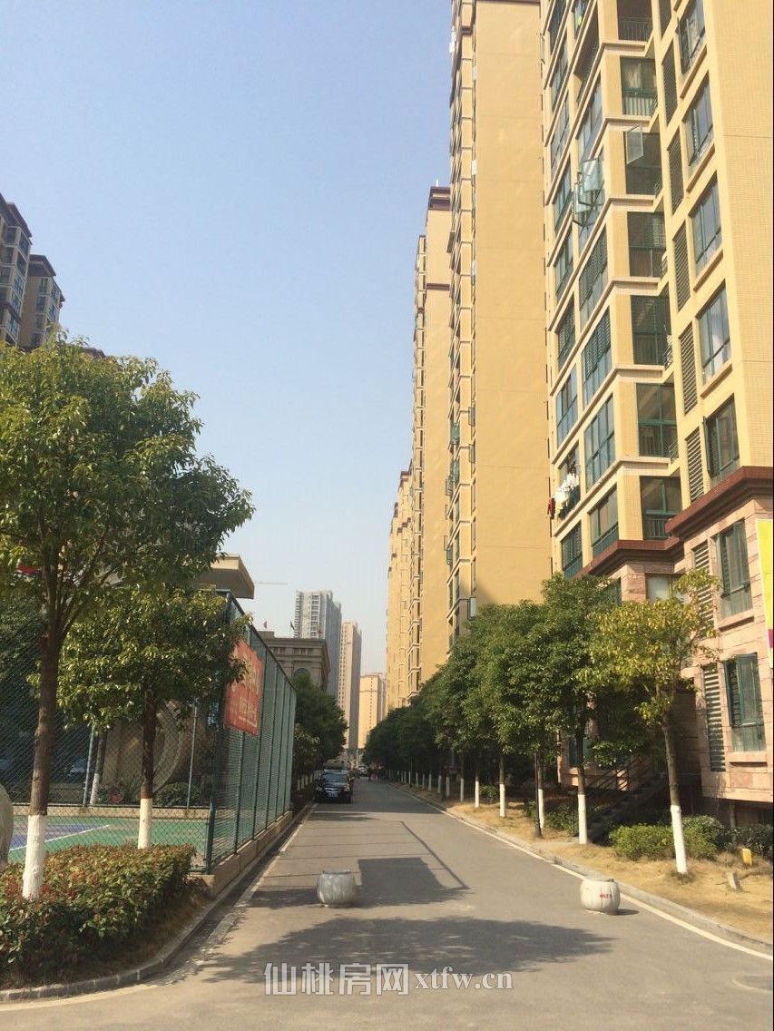 新城一号91平房源出售，精装一天未住，环境舒适，适合上学读书，周围配套成熟，适合居住