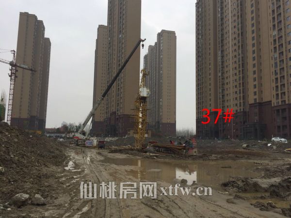 2017032709252391517sm2trh.jpg 37#_meitu_6.jpg