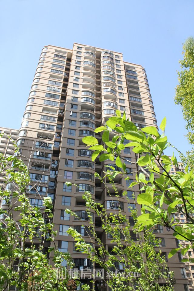 2017040115331618295yqh1nw.jpg IMG_5657.jpg