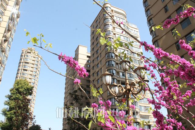 2017040115340142322f1crew.jpg IMG_5660.jpg