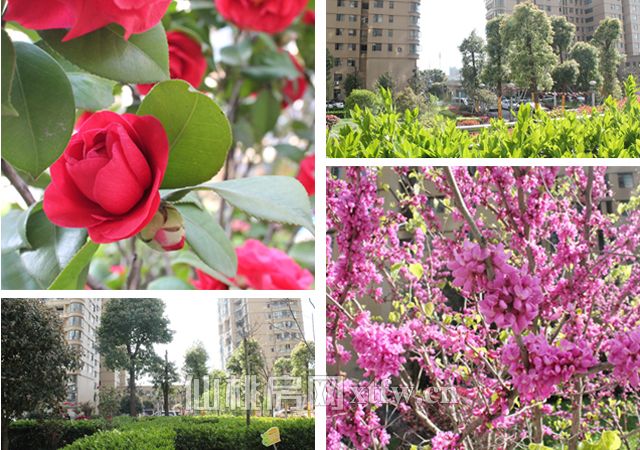 2017040115341628391twjsvv.jpg 未命名.jpg