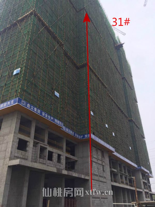 2017040217203169707lr7kxt.jpg 31_meitu_6.jpg