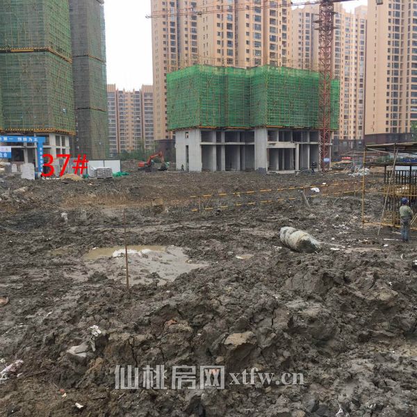 2017040217220631435nf4cvy.jpg 37_meitu_11.jpg