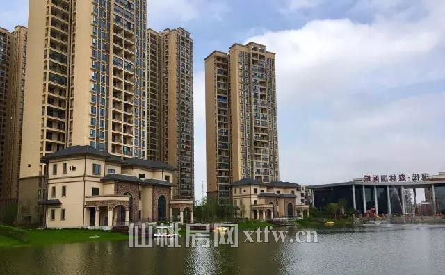 2017040812005043599ncnysp.jpg 4.jpg