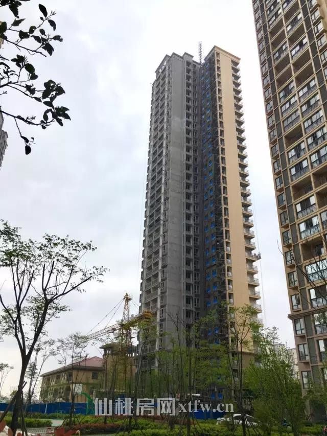 2017040812005785379e3bbgd.jpg 5.jpg