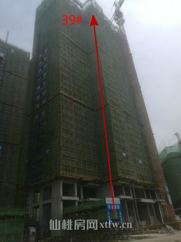 2017041609413485833rvjwlv.jpg 39#¥ (2)_meitu_6.jpg