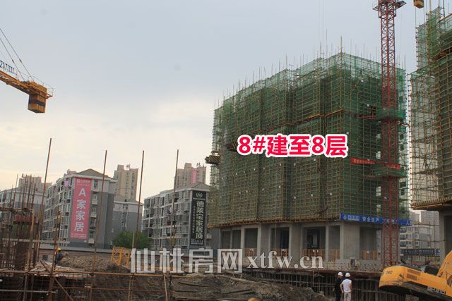 2017042011414982246lltoma.jpg 34(1).jpg