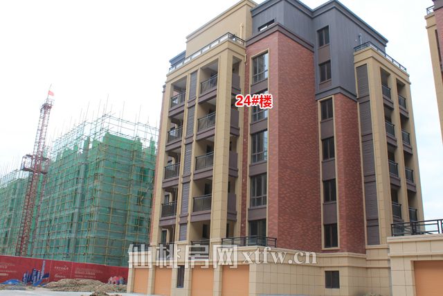 20170420161814408049czgds.jpg 5.jpg