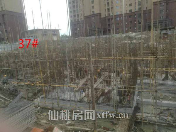 2017042315432865229rsprz1.jpg 37_meitu_4.jpg