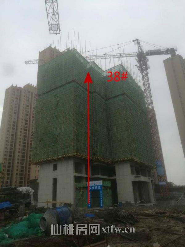 2017042315434071130lx8cmt.jpg 38_meitu_5.jpg