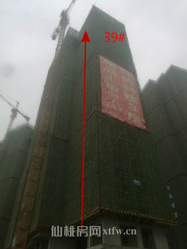 2017042315435145225et7xuf.jpg 39_meitu_6.jpg