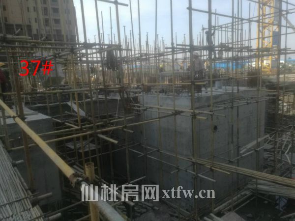 2017043009170677462vrnjx6.jpg 37_meitu_3.jpg