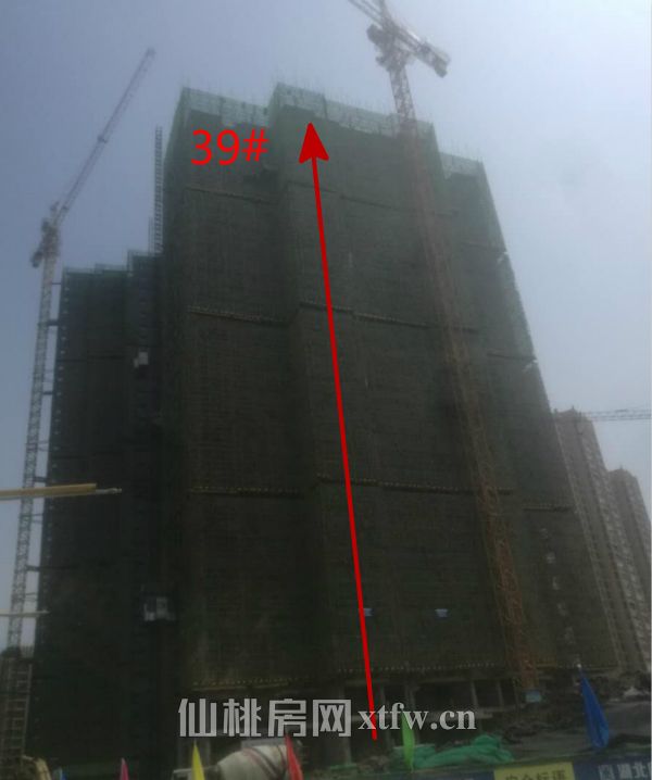 2017043009173613892ozkzgl.jpg 39_meitu_6.jpg