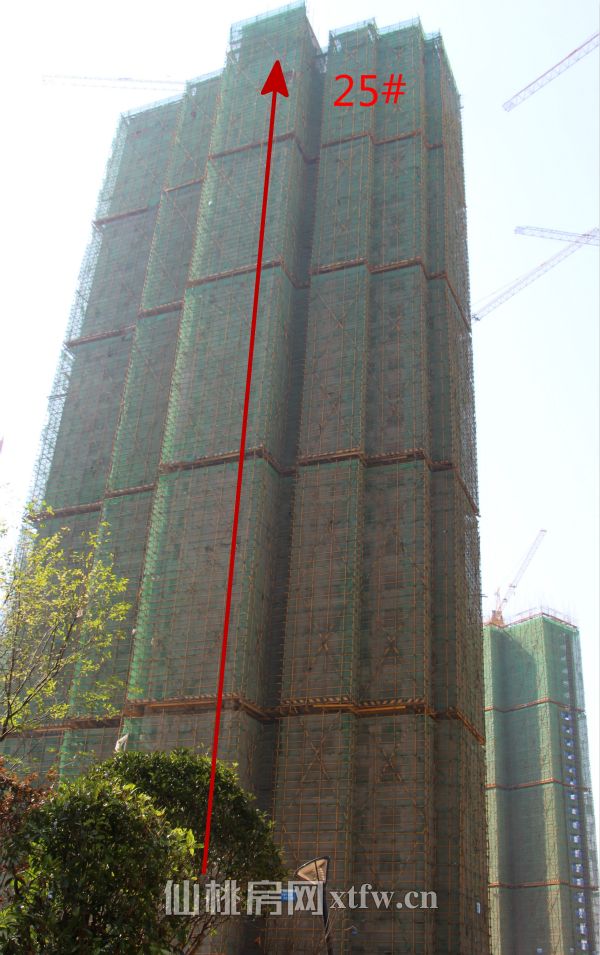 ​满庭春最新工程进度 3.2期已经全部封顶