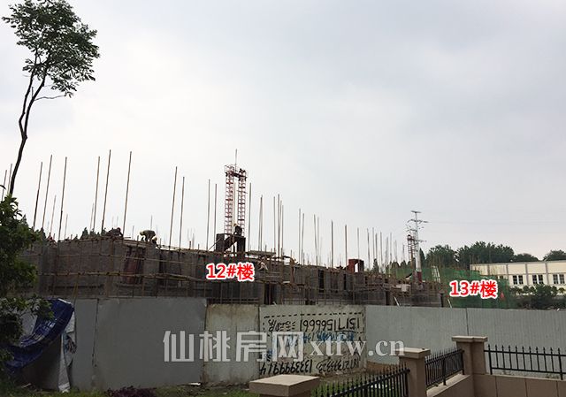 2017051617565458684hj4ptp.jpg 13.jpg