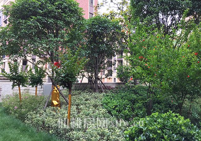 20170516180228933983bejqe.jpg 21.jpg