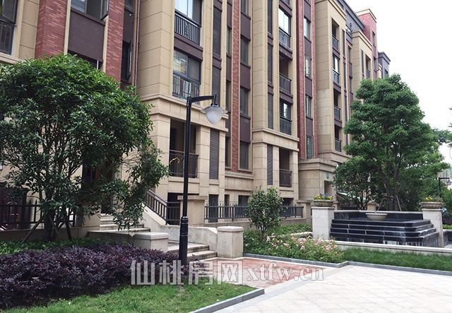 2017051618023348804sdimxv.jpg 22.jpg