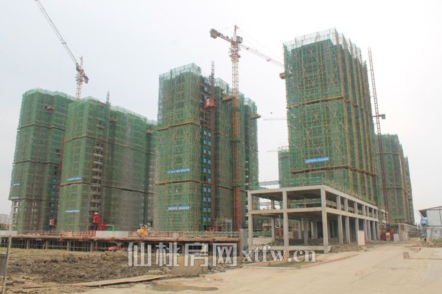 2017060114405168893fsnwnr.jpg 3.jpg