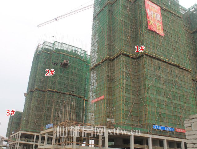 2017060114430999724ylnrbg.jpg 4.jpg